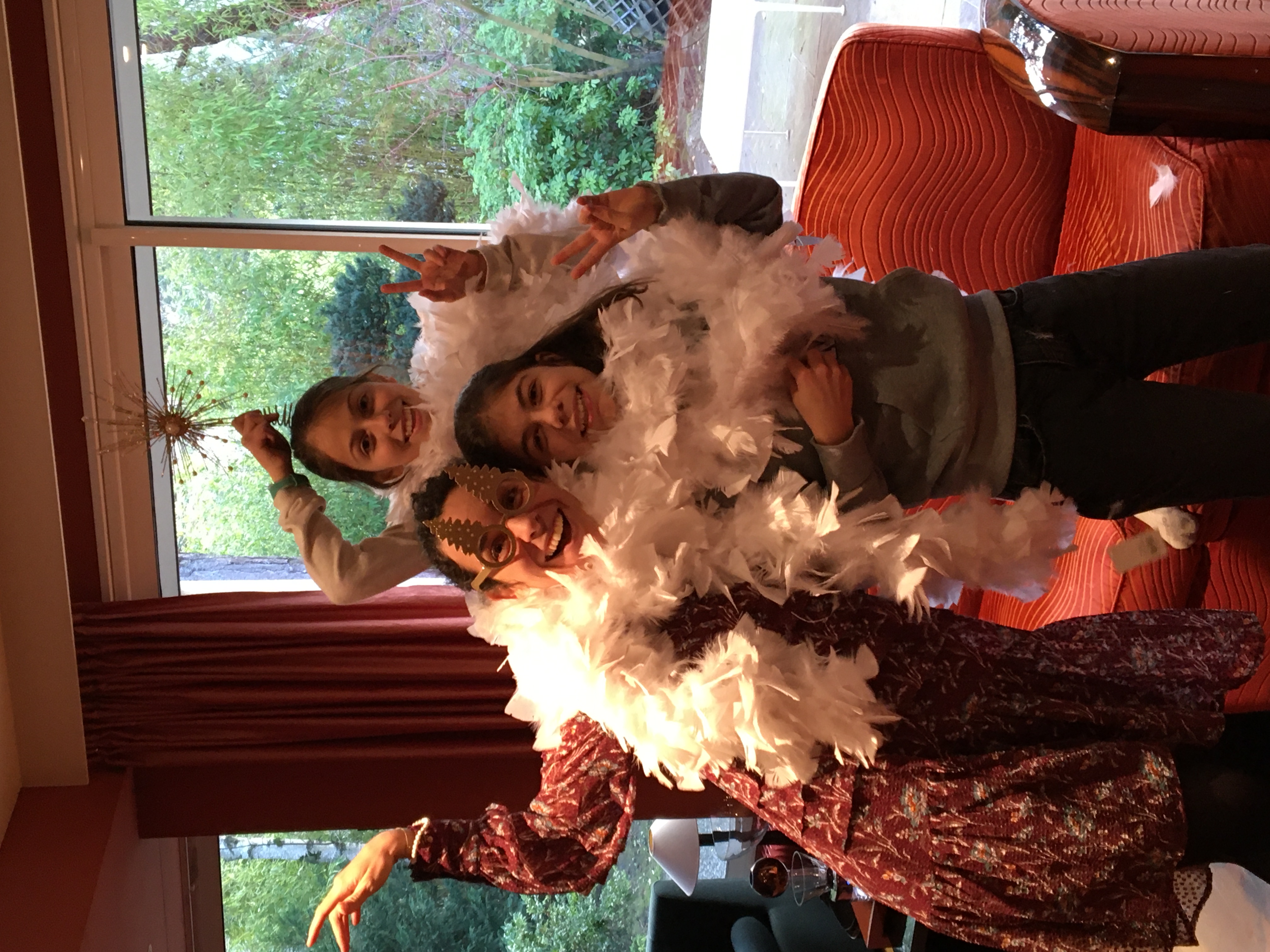 Déguisement boa de plumes