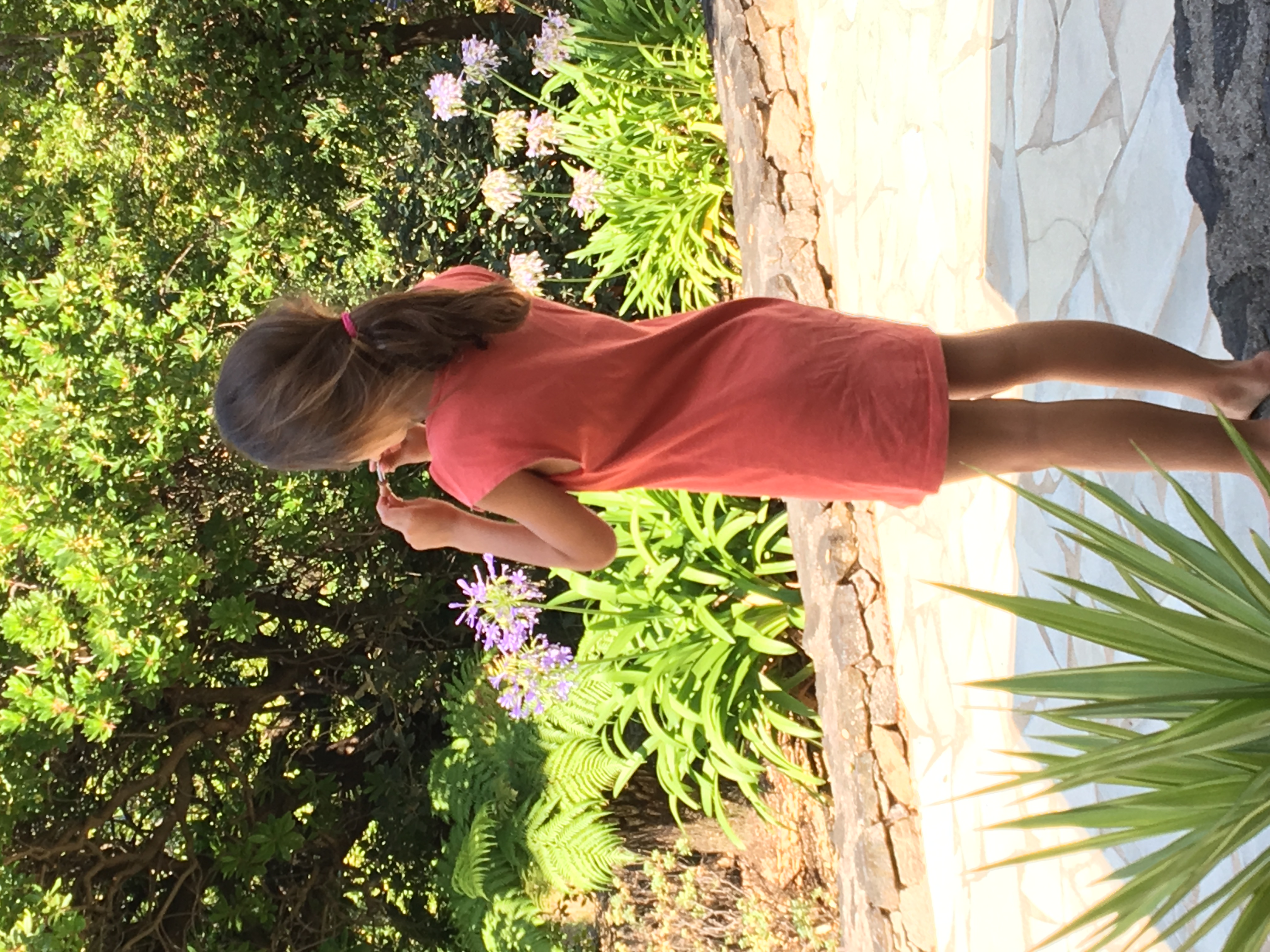 Roro au jardin tropical